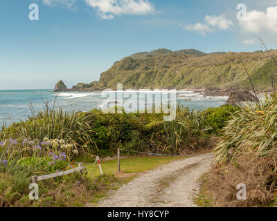 Westküste nördlich von Punakaiki, Südinsel, Neuseeland Stockfoto