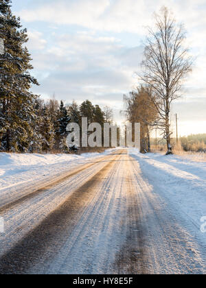 leere Straße in die Landschaft mit Bäumen in der Umgebung. Perspektive im winter Stockfoto