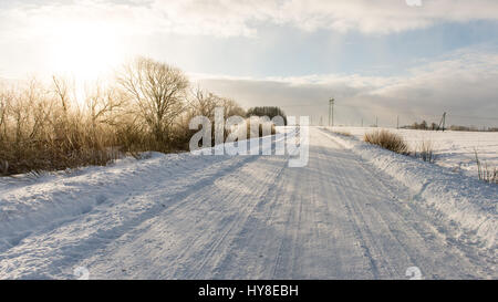 leere Straße in die Landschaft mit Bäumen in der Umgebung. Perspektive im winter Stockfoto