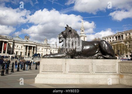 Landseer Löwen. Trafalgar Square Löwen in London Stockfoto