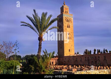 Koutoubia oder Kutubiyya Moschee Minarettturm in Marrakesch Marokko Altstadt mit umgebender alter Mauer und Palme im Vordergrund Stockfoto