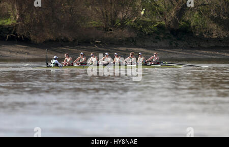 Cambridge-Frauen Mannschaft in Aktion während der Frauen Regatta auf der Themse, London. Stockfoto