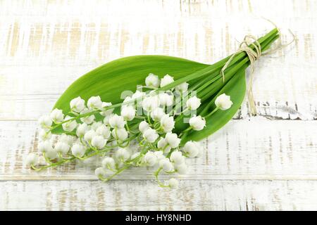 Reihe von Lilie der Senke auf hölzernen Hintergrund Stockfoto