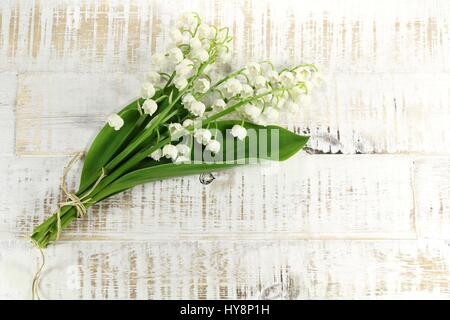 Reihe von Lilie der Senke auf hölzernen Hintergrund Stockfoto