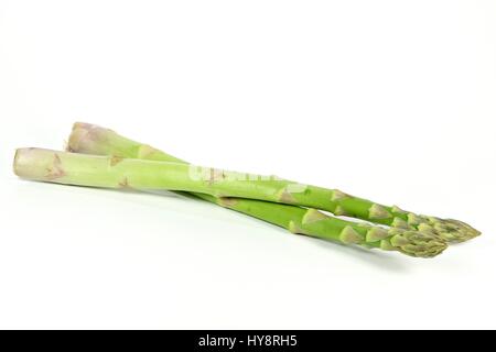 grüne Spargelspitzen isoliert auf weißem Hintergrund Stockfoto