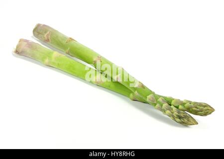 grüne Spargelspitzen isoliert auf weißem Hintergrund Stockfoto