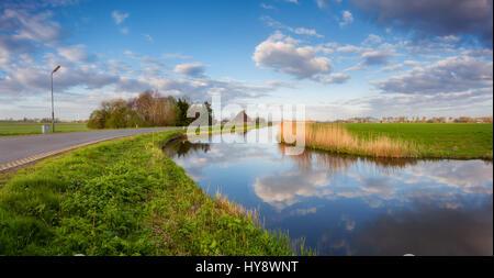 Blauer Himmel mit Wolken spiegeln sich in Wasser, Straße, Häuser in der Nähe von Kanal, Bäume, grün und gelb Schilf bei Sonnenaufgang in Niederlande. Erstaunlich bunt Stockfoto