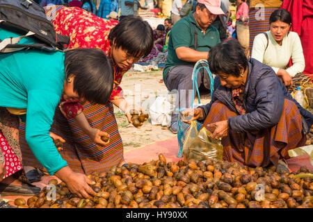 Frauen kaufen Betelnuss auf dem Markt in Punakha, Bhutan. Stockfoto