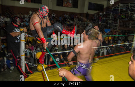 Kostenlose Wrestling in Mexiko ist riesig, dieser "Sport" oder "Spektakel" wird alle Knick von Menschen und Eages. Wrestelers werden anonyme Helden hinter ihrer Stockfoto