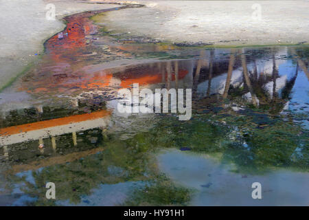 Abstrakte Kunst: der Strom fließt durch den weißen Sand und die Oberfläche des Wassers spiegelt sich in den leuchtenden Farben der grünen Palmen und weißen, roten b Stockfoto