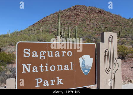 Zeichen, Saguaro National Park, in der Nähe von Tucson AZ USA Stockfoto