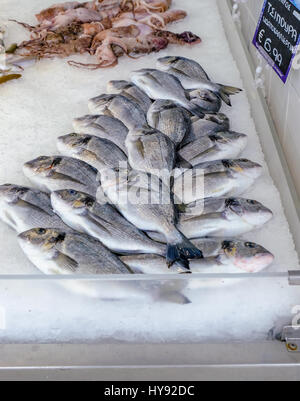 Auswahl von Fesch Dorade Dispalyed auf Eis auf dem Fischmarkt in Limassol, Zypern. Stockfoto