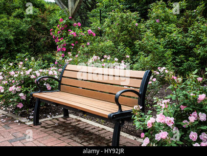 Gartenparkbank in einer Rosengarten-Landschaft, New Jersey, USA, Frühlingsrosen-Gartensitz, Sitzgelegenheit Stockfoto