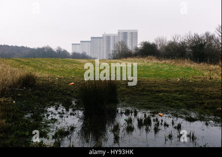 Hochhäuser mit einem nassen schlammigen Feld im Vordergrund in Kennishead, Glasgow. Stockfoto