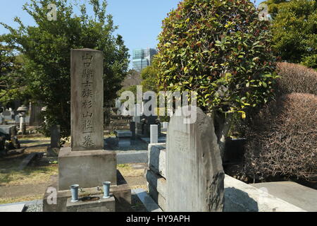 Aoyama Friedhof, Tokyo, Japan enthält viele historische Gräber und ist auch ein beliebter Ort während der Kirschblüte Stockfoto