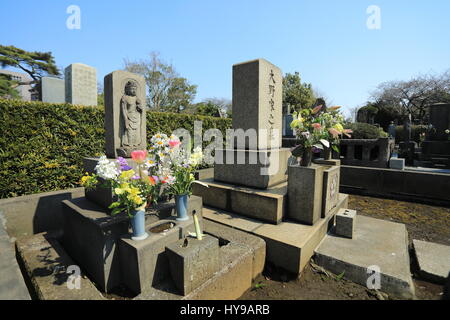 Aoyama Friedhof, Tokyo, Japan enthält viele historische Gräber und ist auch ein beliebter Ort während der Kirschblüte Stockfoto