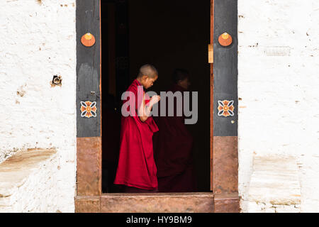 Eine junge Novizin buddhistischer Mönch in einem Hauseingang in der Paro Dzong, Paro, Bhutan. Stockfoto
