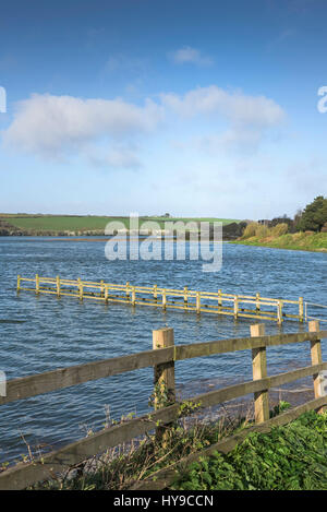 Gannel Fluß Gannel Mündung Tidal River Springflut Flut Sommerso überbrücken Überschwemmungen Newquay Cornwall Stockfoto