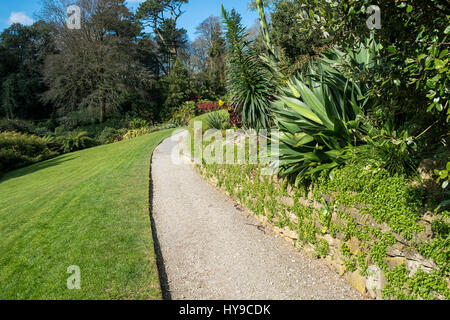 Trebah Garden subtropische Weg Weg Tourismus Touristenattraktion Besucherattraktion ziemlich malerischen Pflanzen Gartenbau Tagesausflug Cornish Cornwall Stockfoto