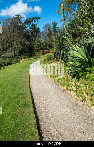 Trebah Garden subtropische Weg Weg Tourismus Touristenattraktion Besucherattraktion ziemlich malerischen Pflanzen Gartenbau Tagesausflug Cornish Cornwall Stockfoto