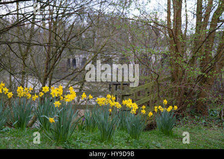 Chirk Kanal Aquädukt und Eisenbahn-Viadukt Stockfoto