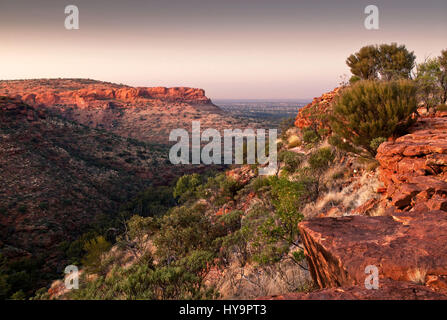 Rosa Dämmerung Himmel vertikalen Klippen von Kings Canyon leuchtet in den nördlichen Gebieten der Australiaclimbing Stockfoto