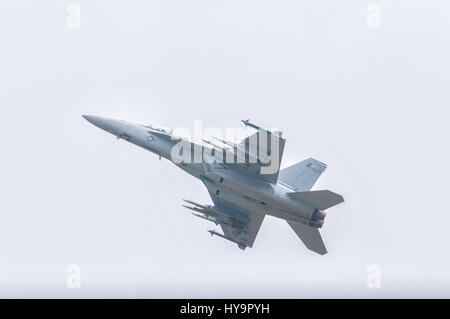 Die Boeing F/A-18E und F/A-18F Super Hornet sind zweimotorige Träger-fähigen multirole Kämpfer Flugzeuge Varianten basierend auf die McDonnell Douglas F/A-18 Stockfoto