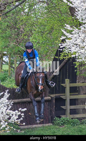 Stanford, UK. 2. April 2017. Schöner Tag für Jung und alt während eines Tages treffen, die Hunter Routen statt in das Gelände eines Englands älteste Haus und Garten. Bildnachweis: Clifford Norton/Alamy Live-Nachrichten Stockfoto