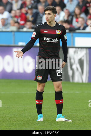 Leverkusen, Germany2nd April 2017, Bundesliga, Spieltag 2, Bayer 04 Leverkusen Vs VfL Wolfsburg: Kai Havertz (B04) Gesten. Bildnachweis: Jürgen Schwarz/Alamy Live-Nachrichten Stockfoto