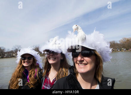 Stratford, Kanada. 2. April 2017. Besucher mit Schwan Hüte sehen die 2017-Schwan-Parade in Stratford, Ontario, Canada, 2. April 2017 gekleidet. Die jährliche traditionelle Parade fand am Sonntag zur Feier der Ankunft des Frühlings in diesem Jahr. Bildnachweis: Zou Zheng/Xinhua/Alamy Live-Nachrichten Stockfoto