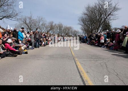 Stratford, Ontario, Kanada, 2. April 2017. Tausende von Menschen versammeln sich zum der Stratford jährliche Swan-Parade, wenn die Stadt Schwäne zum Fluss Avon in der Feier der Ankunft des Frühlings zurück. Bildnachweis: Rubens Alarcon/Alamy Live-Nachrichten. Stockfoto