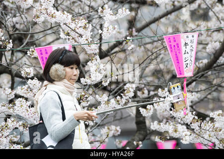 Tokio, Japan. 3. April 2017. Ein Frauen fotografieren unter Kirschblüten Meguro Fluss von einer Brücke in Tokio. Anzeigen von Kirschblüten ist ein Volkssport und kulturelle Veranstaltung in Japan, wo Millionen von Menschen entpuppen sich um jährlich zu bewundern. Bildnachweis: Alessandro Di Ciommo/ZUMA Draht/Alamy Live-Nachrichten Stockfoto