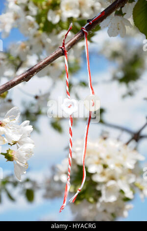 Weiße und rote Fäden zusammengebunden, wie Armbänder, hängen in den Ast eines Baumes Kirschblüte Stockfoto