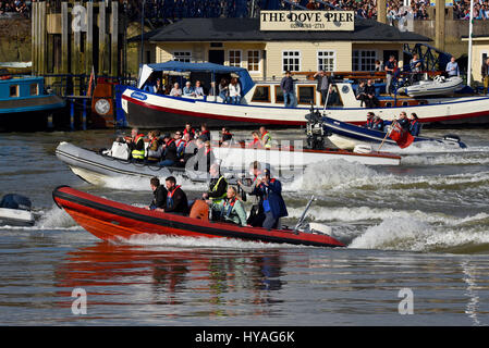 Universität-Regatta auf der Themse in Barnes, London.Women Rennen Oxford und Cambridge, Cambridge gewonnen. Stockfoto