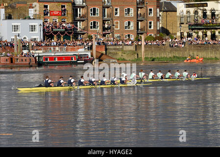 University Boat Race Oxford gegen Cambridge on the Themse in Barnes, London. Die Leute beobachten das Boot, während sie vorbeifahren Stockfoto