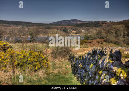 Auf der Suche nach unten Steinmauer von Kirkland Hügel in Richtung weiße Loch am Colvend, Dumfries and Galloway, Schottland, UK. Stockfoto