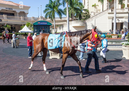 HALLANDALE BEACH, USA - 11. März 2017: Racing Pferde Show an der Gulfstream Park Rennstrecke in Hallandale Beach, Florida, Vereinigte Staaten von Amerika Stockfoto