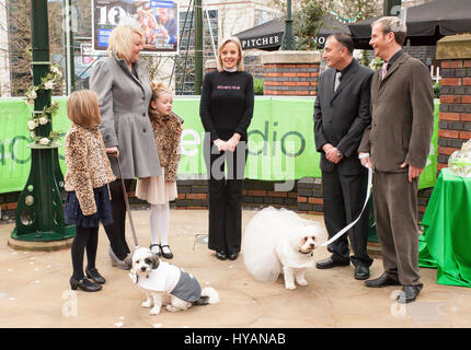 Brindley Place, Birmingham: Von links nach rechts, Beccy Haywood halten Hund Rufus und ihre zwei Dauthers, Kanzler Ann Chapman, Miteigentümer George Michael und Graham Riley hält seinen Hund Lady. Eine DOGGY Hochzeit könnte die meisten Wirbelwind noch als ehemalige lonely-hearts Rufus und Lady erhalten hitched nach dating für nur drei Wochen. Bilder zeigen wie Liebe-Up Bichon Frise Lady (3) und Cavachon Rufus (2) wurden von ihren Besitzern den Gang ging und wurden zur Freude der 60 Menschen und Hunde Hochzeitsgäste verheiratet. Trotz der Geschwindigkeit ihrer Beziehung konnte nicht die Einstellung romantischer – mit Großbritanniens o sein. Stockfoto