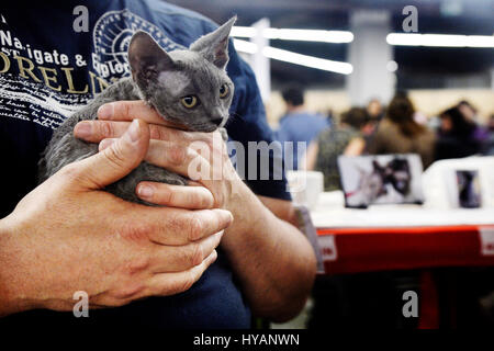 Hunde und Katzen Event, Espace Champerret, Paris, Frankreich Stockfoto