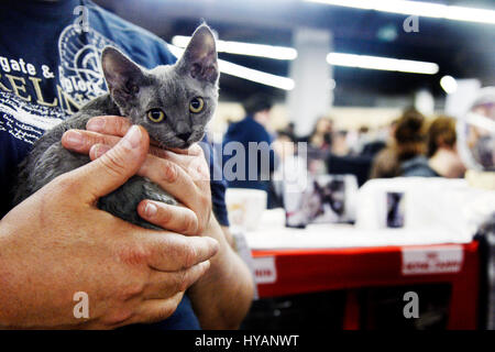 Hunde und Katzen Event, Espace Champerret, Paris, Frankreich Stockfoto