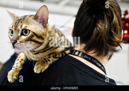 Hunde und Katzen Event, Espace Champerret, Paris, Frankreich Stockfoto