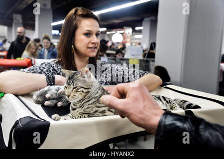 Hunde und Katzen Event, Espace Champerret, Paris, Frankreich Stockfoto