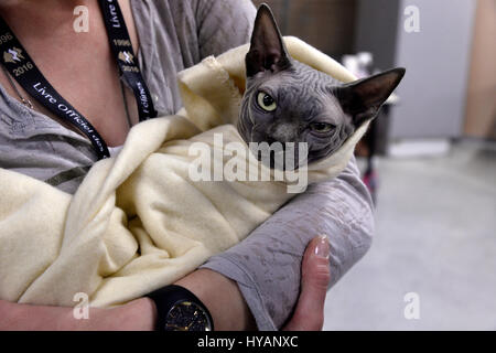 Hunde und Katzen Event, Espace Champerret, Paris, Frankreich Stockfoto