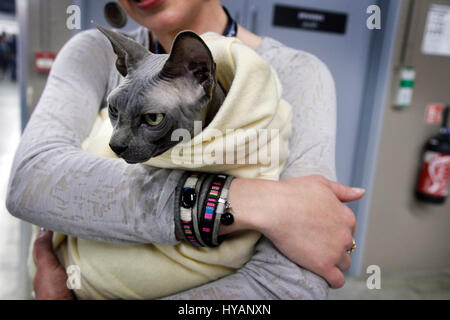 Hunde und Katzen Event, Espace Champerret, Paris, Frankreich Stockfoto