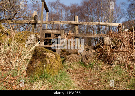 Stil über eine Trockenmauer an Mugdock Country Park, Milngavie, East Dunbartonshire, Schottland Stockfoto