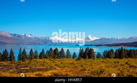 Blick auf Lake Pukaki und Mt. Cook-Bergkette, Südalpen, Neuseeland Stockfoto