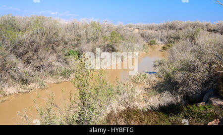 Reisen Sie nach Nahost Land Jordanien - Jordanien River im Heiligen Land in der Nähe von Taufe Website Bethany Beyond Jordan (Al-Maghtas) im sonnigen Winter d Stockfoto