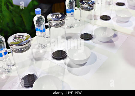 Schmeckenden Tee auf der Ausstellung-Nahaufnahme Stockfoto