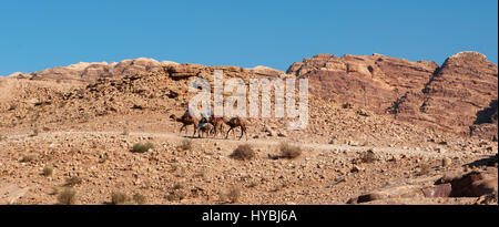 Jordanien, Naher Osten: Beduinen und Kamele in der Wüstenlandschaft der archäologischen nabatäische Stadt Petra Stockfoto