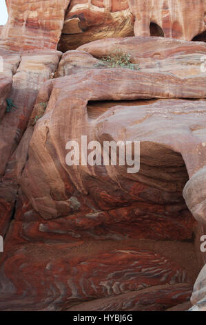 Venen in verschiedenen Formen, Farben und Schattierungen auf die roten Felsen der Königsgräber, Grabbeigaben Strukturen geschnitzt in die Felswand in die Stadt Petra Stockfoto